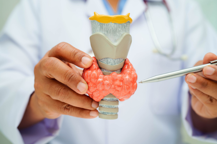 Thyroid Disorders